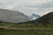 46 - Columbia Icefield - IMG_1019